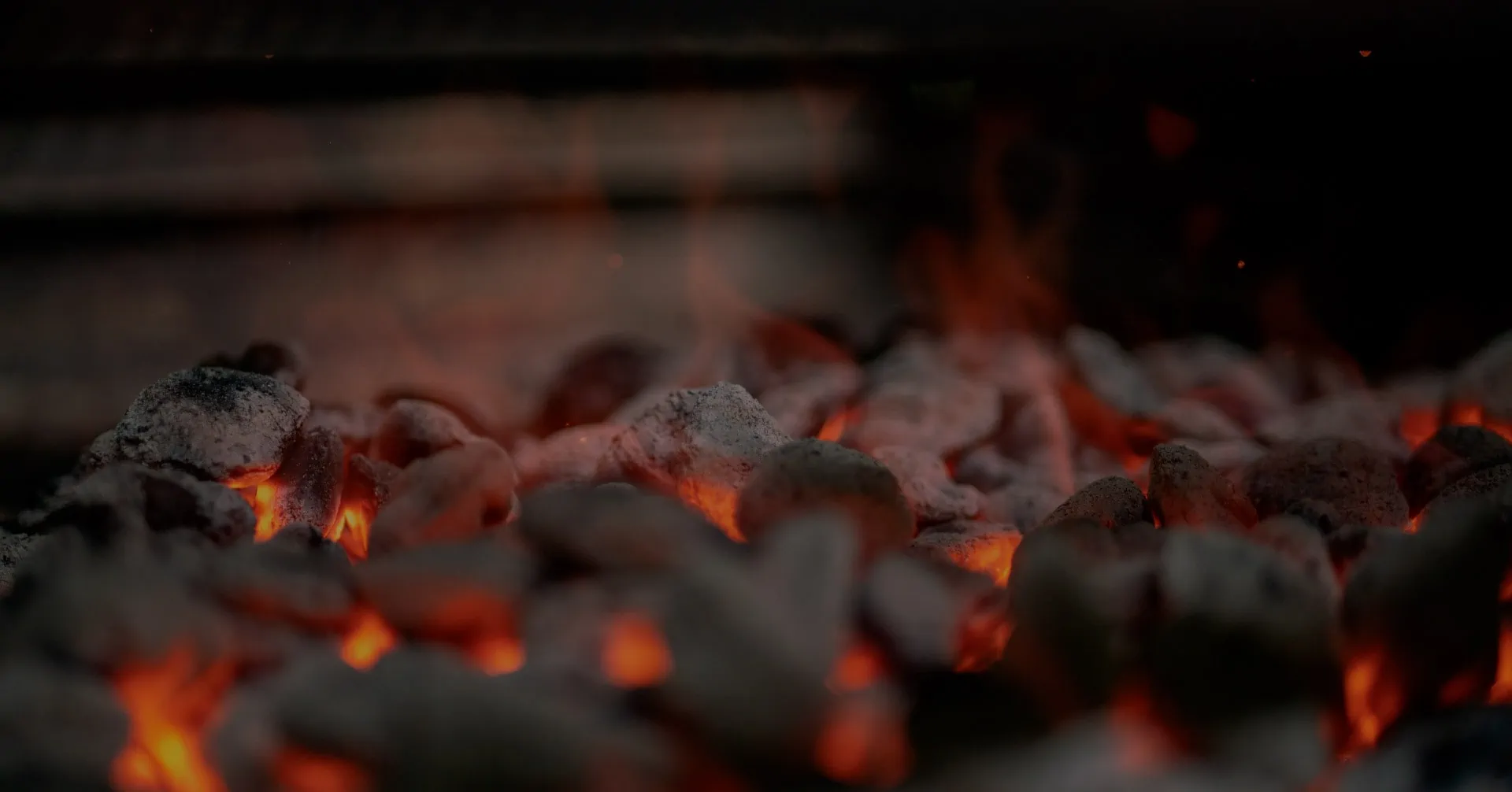 Cocina profesional a la brasa