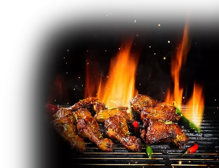 Maquina asador pollos brasa profesional